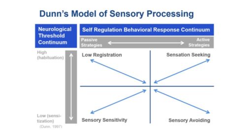 Dunn's Model of Sensory Processing